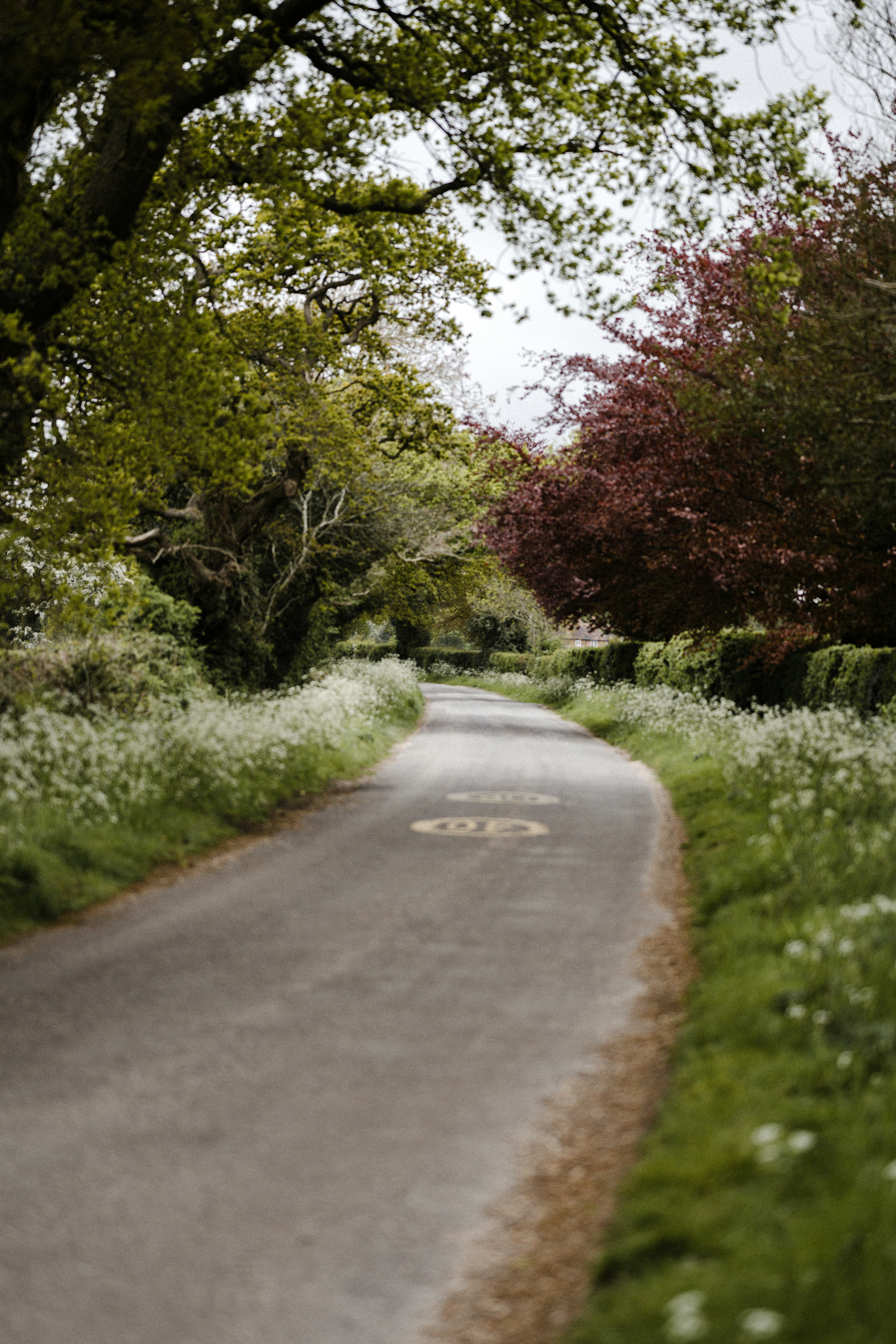 gray concrete road between green grass and trees during daytime